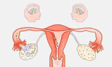 陰道分泌物草莓视频APP免费檢測白帶帶血怎麽回事？