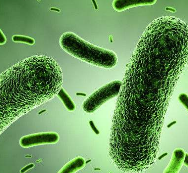 陰道分泌物草莓视频APP免费淺析黴菌性陰道炎的危害性