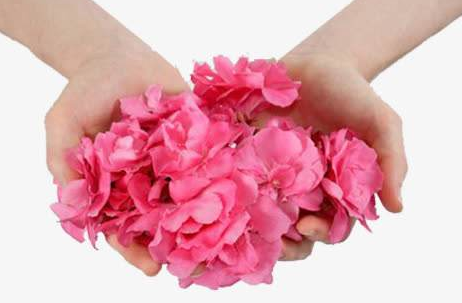 全自動陰道分泌物草莓视频APP免费的安裝和校準