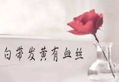 白帶草莓视频污新地址廠家分析白帶異常的根本原因