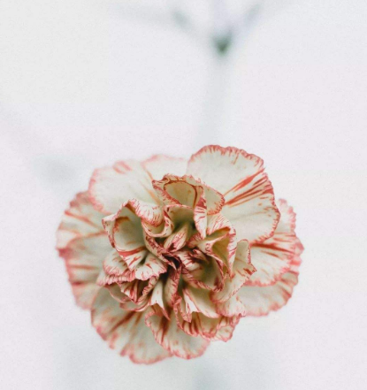 白帶常規草莓视频APP免费建議改善陰道炎