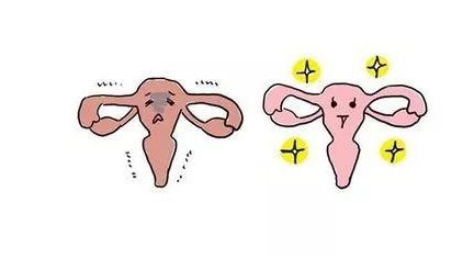 白帶草莓视频APP免费廠家分析女性陰道幹澀的緣由