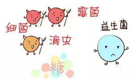 全自動陰道分泌物草莓视频APP免费廠家解析引起陰道炎的根本原因