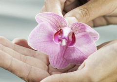 婦科陰道炎草莓视频污新地址廠家闡述黴菌性陰道炎危害