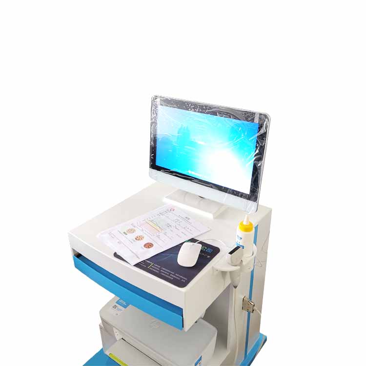 婦科陰道炎草莓视频APP免费廠家的未來發展前景如何？