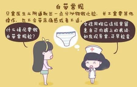 草莓视频在线观看免费视频GK-Y全自動陰道分泌物草莓视频APP免费廠家科普“白帶常規”查看報告！