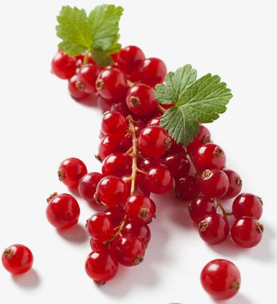 婦科六聯檢全自動儀器廠家草莓视频在线观看免费视频助你消炎排毒，遠離婦科病