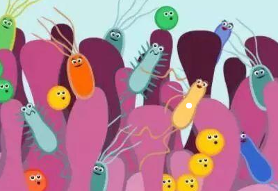 陰道微生態平衡對女性生殖健康有重要意義