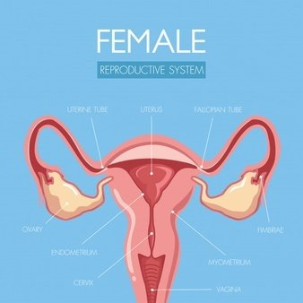 陰道分泌物草莓视频APP免费提醒女人婚後得了婦科病做到這5點，發炎不來擾