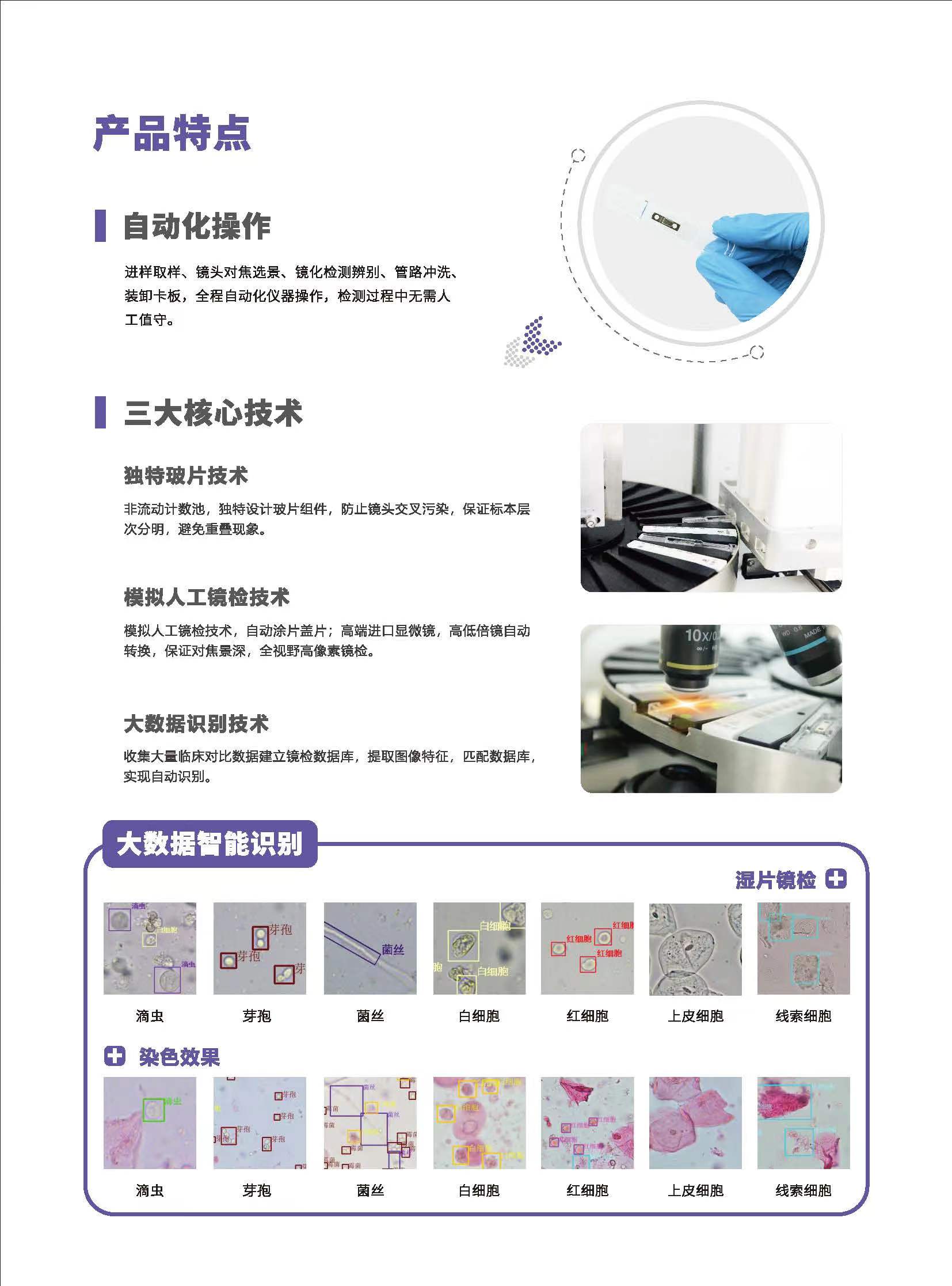 陰道分泌物草莓视频污新地址V800產品特點