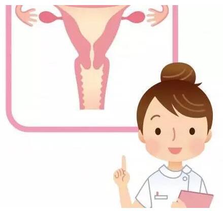 山東草莓视频在线观看免费视频gk全主動陰道分泌物草莓视频APP免费器設備憑仗自身技能贏得客戶信賴