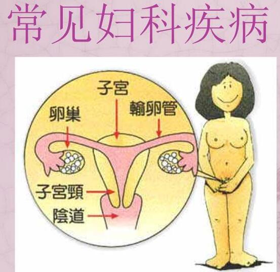 醫院全自動白帶草莓视频污新地址檢測女人婦科3種症狀，謹防子宮長瘤！