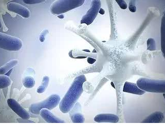 【婦科白帶草莓视频污新地址品牌】：女性患黴菌性陰道炎的緣由！