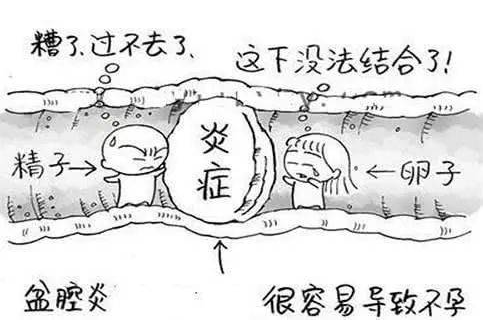 全自動婦科陰道分泌物草莓视频污新地址檢測辨別婦科炎症複雜多樣！